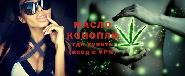 соль ск Кукмор