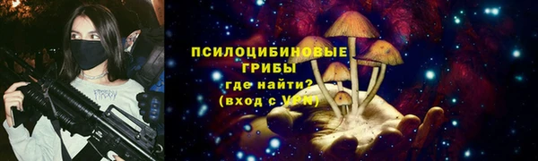 соль ск Кукмор