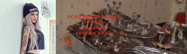 стафф Куйбышев