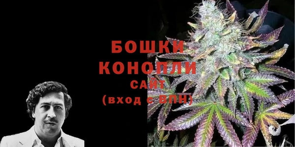 соль ск Кукмор