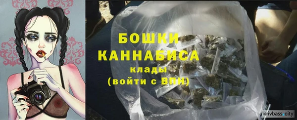 соль ск Кукмор