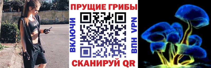 kraken ссылки  Комсомольск-на-Амуре  Галлюциногенные грибы Magic Shrooms  магазин продажи  